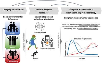 Prediction Along a Developmental Perspective in Psychiatry: How Far Might We Go?